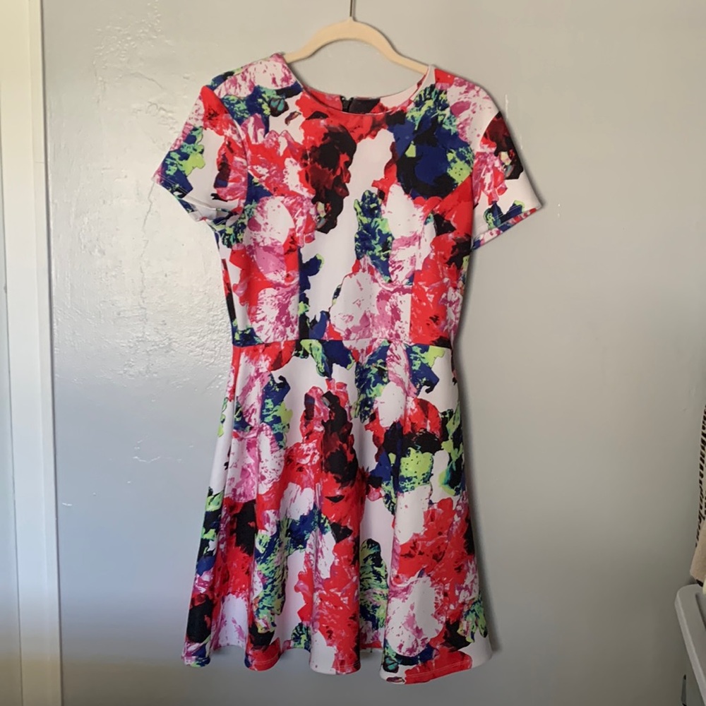 Red Floral A-Line Skirt Dress
